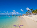 Karibischer Strand mit Palmen und türkisfarbenem Wasser