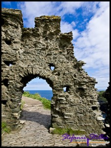 Tintagel Castle 05