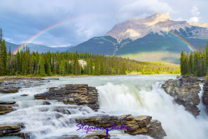 Athabasca Falls framed by Rainbow