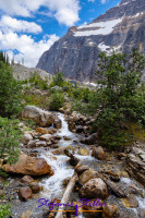 Kleiner Wasserfall beim Path of the Glacier Trail