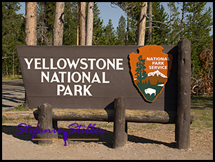 Yellowstone Park Sign