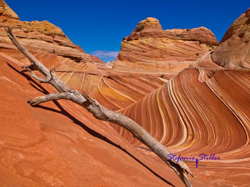 Das etwas andere Bild der Wave Das etwas andere Bild der Wave