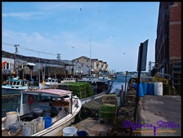 601 Old Portland 01 601 Old Portland 01