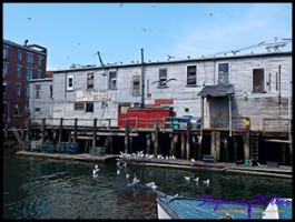 601 Old Portland 02 601 Old Portland 02