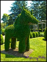 604 GA Einhorn 604 GA Einhorn