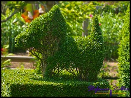 604 GA Hund 604 GA Hund