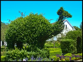 604 GA Kamel 604 GA Kamel