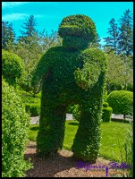 604 GA Mensch 604 GA Mensch