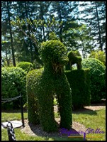 604 GA Reh 604 GA Reh