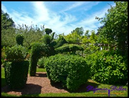 604 GA Reiter 604 GA Reiter