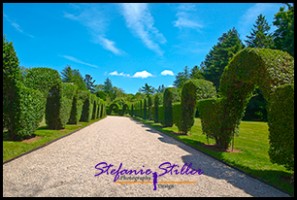 604 Green Animals 604 Green Animals