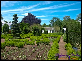 604 Green Animals 02 604 Green Animals 02