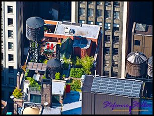 606 Dachgarten 606 Dachgarten