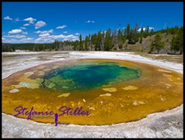 817 Beauty Pool 817 Beauty Pool