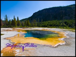 817 Emerald Pool 817 Emerald Pool