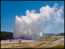 817 Faithful 1 817 Faithful 1