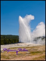 817 Faithful 3 817 Faithful 3