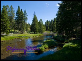 817 Firehole River 817 Firehole River