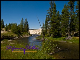 817 Firehole River 2 817 Firehole River 2