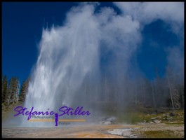 817 Grand 3 817 Grand 3