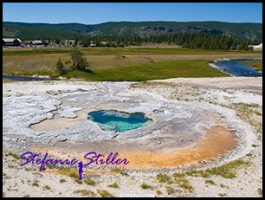 817 Heart Spring 817 Heart Spring