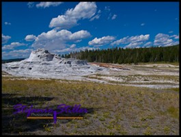 817 The Castle 817 The Castle