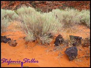 Farbenkontrast Farbenkontrast