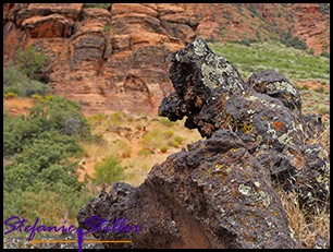 Vulkan-Ente Vulkan-Ente