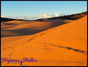 Coral Pink Sand Dunes im Sonnenuntergang Coral Pink Sand Dunes im Sonnenuntergang