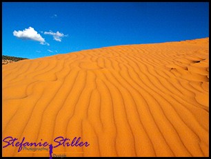 Dünenstruktur Dünenstruktur