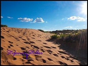 Düne im Sonnenlicht Düne im Sonnenlicht