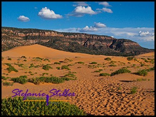Coral Pink Sand Dunes State Park Coral Pink Sand Dunes State Park