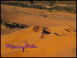 Sandhuegel Im Sonnenuntergang Sandhuegel Im Sonnenuntergang