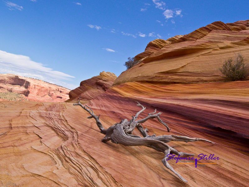 Bunte Gesteinsformation mit Ast Bunte Gesteinsformation mit Ast