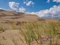 Gras am Rande der großen Sanddüne