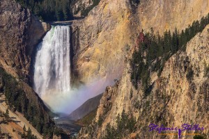 Regenbogen in Gicht der Lowser Falls im Grand Canyon of Yellowstone