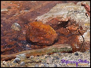 819 Black Pit Spring 819 Black Pit Spring