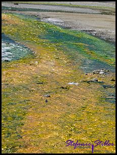 819 Farbenpracht 1 819 Farbenpracht 1