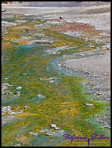 819 Farbenpracht 2 819 Farbenpracht 2