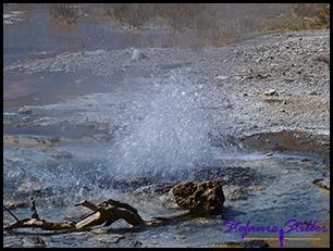 819 Stock mit Geyser 819 Stock mit Geyser