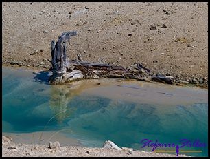 819 Wasserreflexion 819 Wasserreflexion