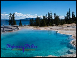 822 Black Pool 822 Black Pool