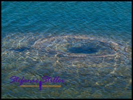 822 Fishing Cone Geyser 822 Fishing Cone Geyser