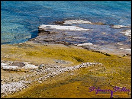 822 Lakeside spring 822 Lakeside spring