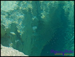 822 Quellen im See 822 Quellen im See