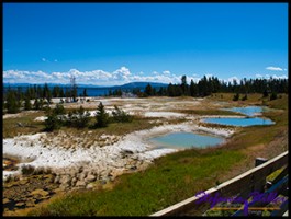 822 Wets Thumb Geyser Basin 822 Wets Thumb Geyser Basin