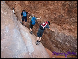 827 FF Trail 01 827 FF Trail 01