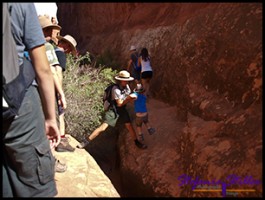 827 FF Trail 10 827 FF Trail 10