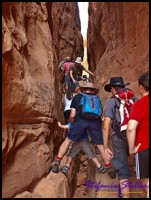 827 FF Trail 22 827 FF Trail 22