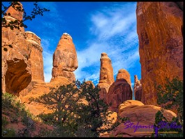 827 Fiery Furnance 11 827 Fiery Furnance 11